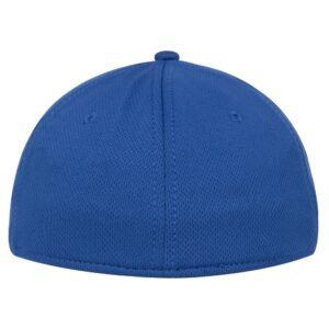 Otto Flex Low Profile Cap Back