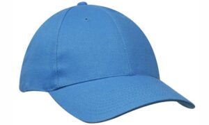 FCA4199aus-cyan