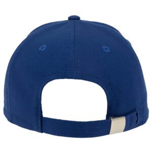 Superior Cotton Twill Cap back