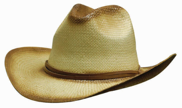 A straw cowboy hat in a tan colour with a brown band around the base and a curved brim.