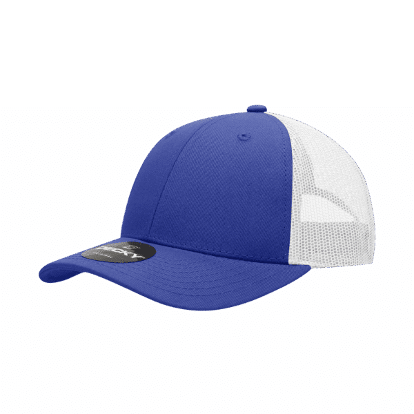 6 Panel Low Profile Structured Trucker C3-214-DKY