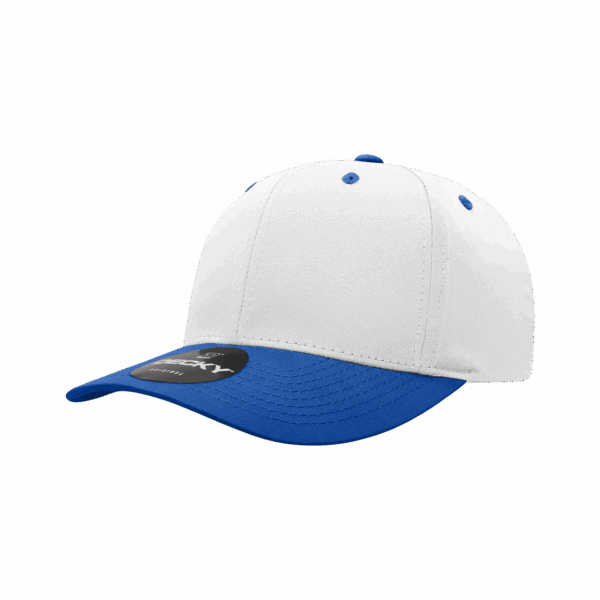 6 Panel Mid Profile Structured Cap C3-6022-DKY