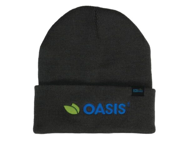 A black beanie with a fold-up cuff and a logo in blue and green. Made from recycled materials.
